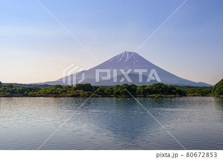 早朝の精進湖と子抱き富士 80672853