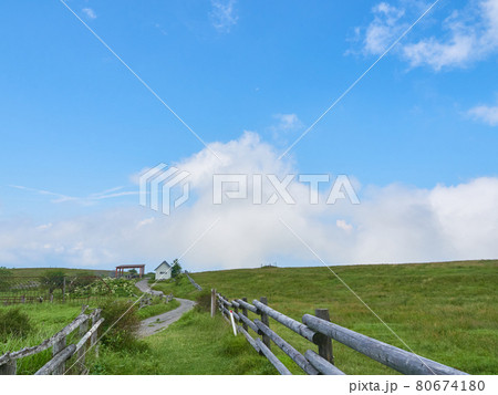 夏（8月）、高ボッチ高原の牧場（高ボッチ牧場） 長野県塩尻市 80674180