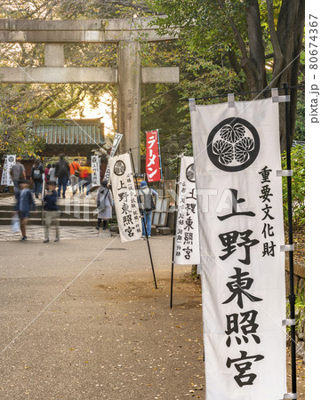 [東京・上野] 上野公園で上野東照宮の石鳥居の前に立つ三つ葉葵の家紋を飾る幟。 80674367