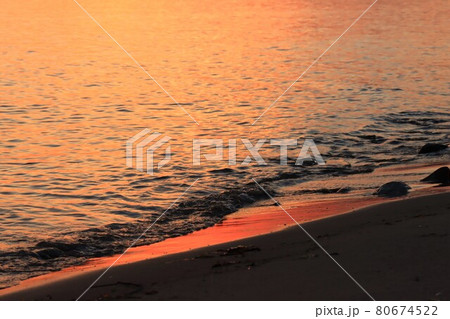 兵庫県明石市で撮影 兵庫県明石市で撮影 80674522