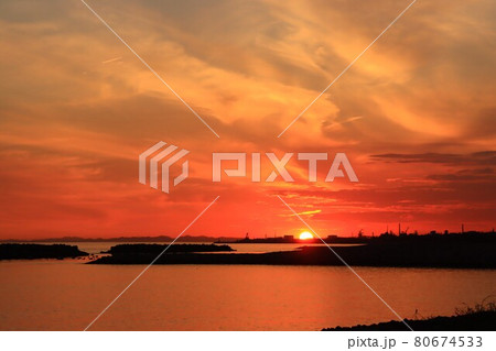 兵庫県明石市で撮影 兵庫県明石市で撮影 80674533