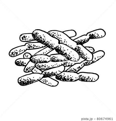 Vector black sketch bacteria isolated on white backgtound. Microbe in medical therapy. Germ illness element. Hand painted bacterium for medicine concept. Vector black sketch bacteria isolated on white backgtound. Microbe in medical therapy. Germ illness element. Hand painted bacterium for medicine concept. 80674961