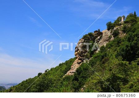 兵庫県 高御位山で撮影 兵庫県 高御位山で撮影 80675360