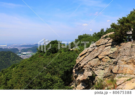 兵庫県 高御位山で撮影 兵庫県 高御位山で撮影 80675388