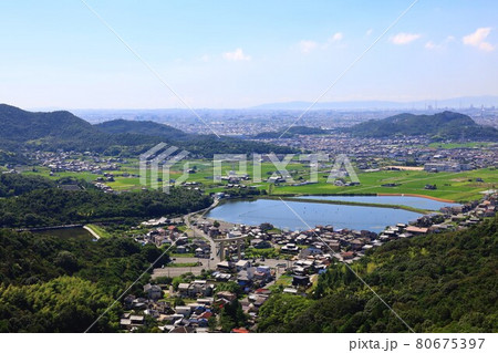 兵庫県 高御位山で撮影 兵庫県 高御位山で撮影 80675397