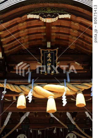 兵庫県高砂市 鹿嶋神社で撮影 兵庫県高砂市 鹿嶋神社で撮影 80675413
