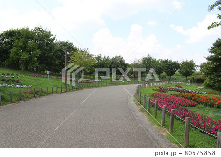 公園　馬見丘陵公園　奈良県香芝市　五位堂駅　近鉄奈良線　真夏　夏休み　湿気　熱中症　熱中症対策 80675858