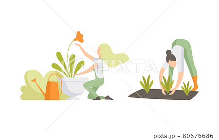 Young Woman Watering Garden Bed and Planting Engaged in Horticulture Vector Set 80676686