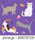 Different breeds of cats tricolor, gray, white 80676729