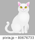 White cat with yellow eyes. Vector illustration 80676733