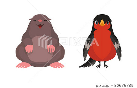 Cute Woodland Animals with Mole and Woodpecker Vector Set 80676739