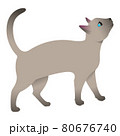 Siamese cat asks for food. Curious cat.  80676740
