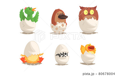 Cute Bird And Reptile Hatching From Egg Sitting のイラスト素材