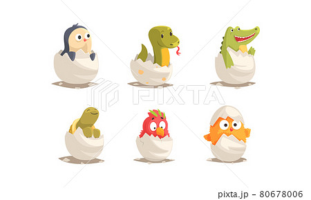 Cute Bird And Reptile Hatching From Egg Sitting のイラスト素材