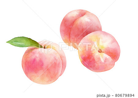Three Ripe Juicy Peach Fruits Trace Vectorer Stock Illustration