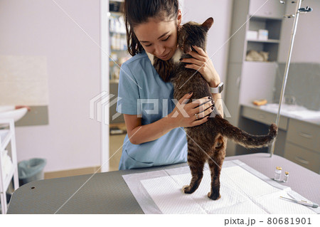 Veterinarian trainee in uniform embraces adorable tabby cat in modern clinic office Veterinarian trainee in uniform embraces adorable tabby cat in modern clinic office 80681901