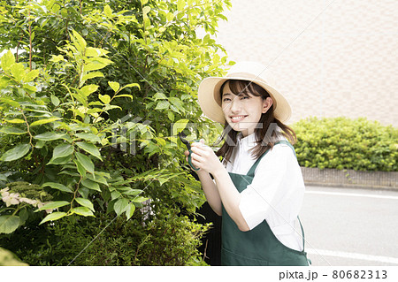 庭の樹木の枝切りをする女性 80682313