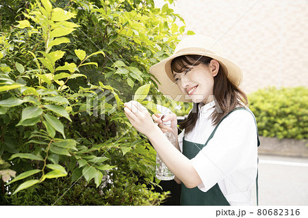 庭の樹木に霧吹きで水をかける女性 80682316