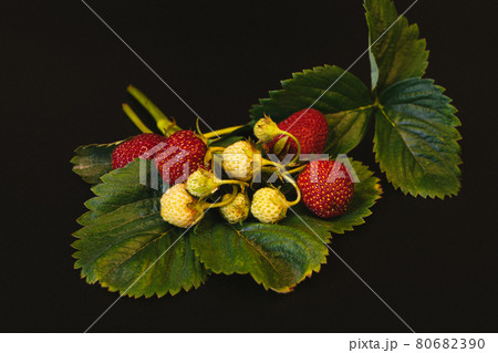 Food dark photography Strawberries and strawberry leaves on a dramatic dark background. 80682390