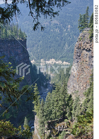 スパハッツ滝そばの渓谷　　ウエルズ　グレイ　ブリティッシュコロンビア　カナダ 80683082