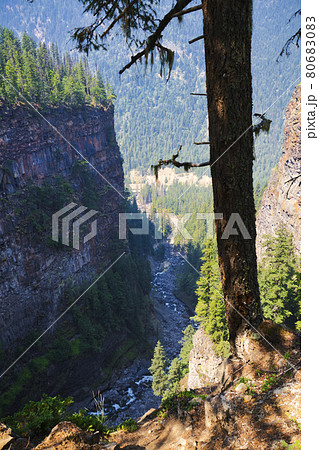 スパハッツ滝そばの渓谷　　ウエルズ　グレイ　ブリティッシュコロンビア　カナダ 80683083