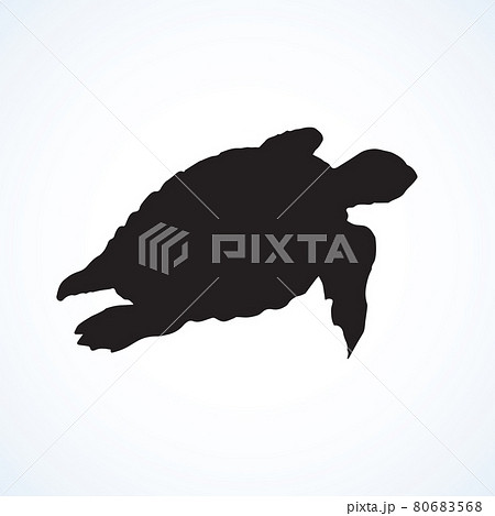Turtle. Vector drawing Turtle. Vector drawing 80683568