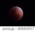 月食　lunar eclipse 80683657