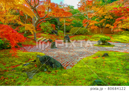 秋の松島 円通院の庭の紅葉 宮城県松島町 秋の松島 円通院の庭の紅葉 宮城県松島町 80684122