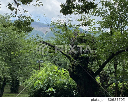 日本の山間部の風景 日本の山間部の風景 80685705