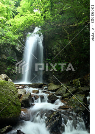 白籐の滝　【三重県伊賀市山畑】 80686031