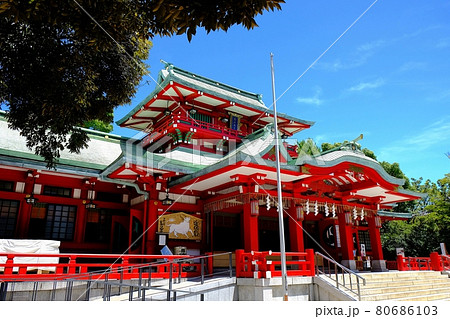 富岡八幡宮 80686103