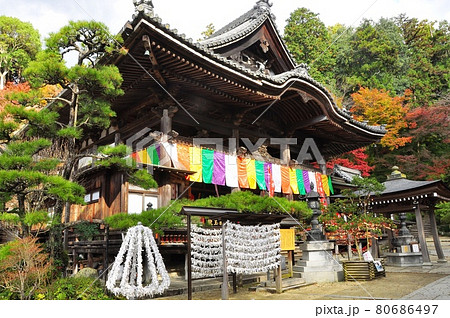 奈良県明日香村 岡寺境内の本堂と紅葉の写真素材