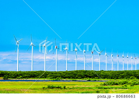 北海道幌延町　サロベツ原野に建つオトンルイ風力発電所の風車群 80686663