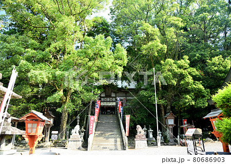 伊賀一宮 敢國神社 拝殿 【三重県伊賀市一之宮】 伊賀一宮 敢國神社 拝殿 【三重県伊賀市一之宮】 80686903