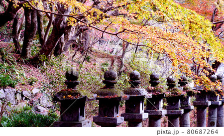 奈良の談山神社の紅葉 80687264