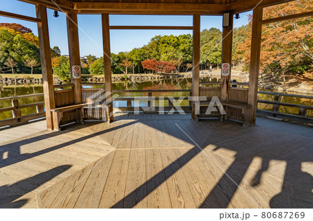 奈良県奈良市奈良公園内　紅葉の美しい鷺池に浮かぶ浮見堂 80687269
