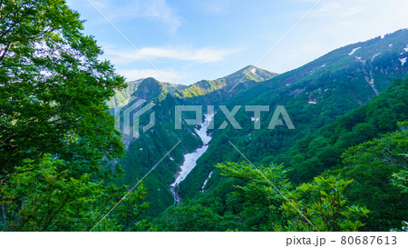 初夏の巻機山登山（井戸尾根コース）：登山道から割引岳を望む 80687613