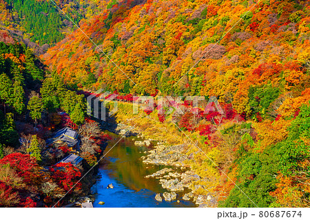 錦秋の嵐山と保津川 80687674