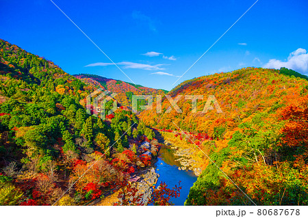 錦秋の嵐山と保津川 錦秋の嵐山と保津川 80687678