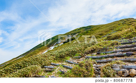 初夏の巻機山登山(井戸尾根コース):登山道から前巻機山を見上げる 初夏の巻機山登山(井戸尾根コース):登山道から前巻機山を見上げる 80687778
