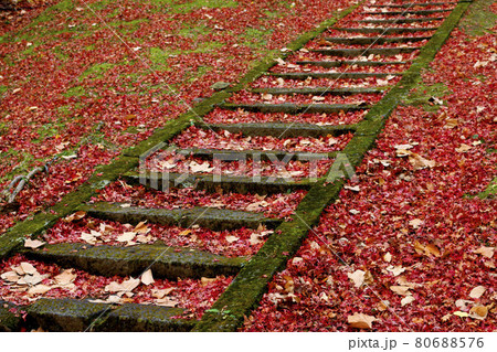 秋の土津神社（福島県・猪苗代町） 80688576