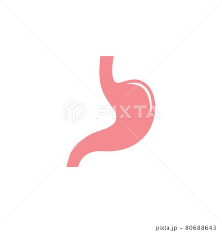 stomach icon vector illustration design 80688643