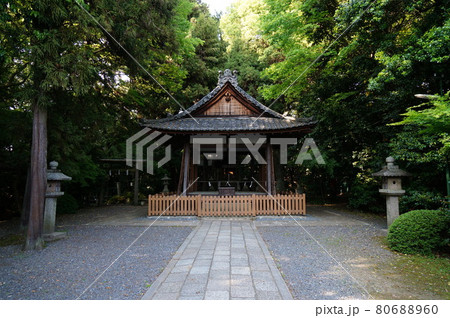 春の木嶋坐天照御魂神社　静かな境内 80688960
