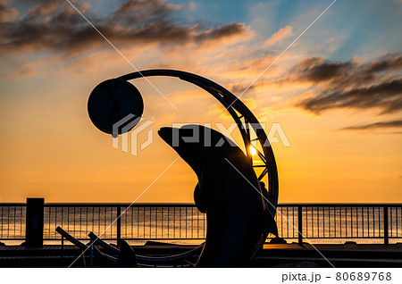 北海道稚内市　ノシャップ岬の夕日 80689768