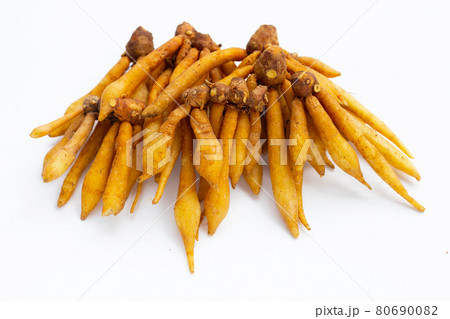 Finger root on a white background. Finger root on a white background. 80690082
