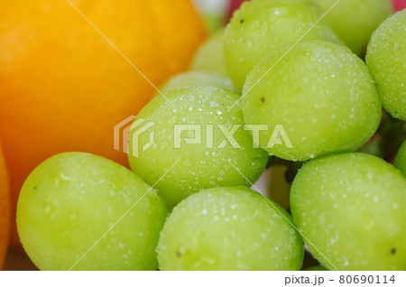 シャインマスカット 80690114