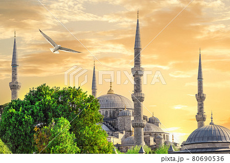Sultanahmet mosque or blue mosque and seagull at sunset with yellow sky 80690536