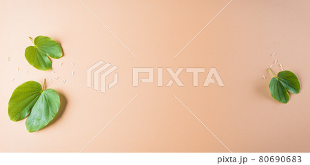 Happy Dussehra. Green leaf on orange pastel background. Dussehra Indian Festival concept. Happy Dussehra. Green leaf on orange pastel background. Dussehra Indian Festival concept. 80690683