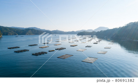 《宮城県》気仙沼大島・牡蠣の養殖 《宮城県》気仙沼大島・牡蠣の養殖 80691382