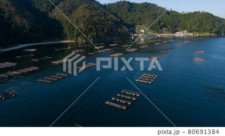 《宮城県》気仙沼大島・牡蠣の養殖 80691384
